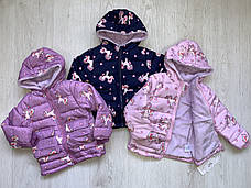 Куртки утеплені на дівчаток оптом, S&D, 1-5 рр, фото 2