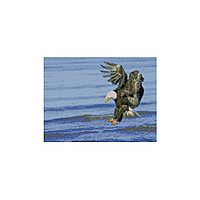 Алмазная мозаика «Орел на охоте», 30х40 см
