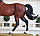 Статуетка Кінь великий 40*34*11 Гранд Презент SM00006-2, фото 6