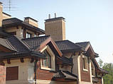 Планкен із термоясня, фото 6
