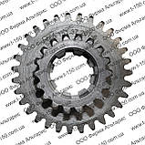 Шестерня вторинного валу КПП Т-150 Z=18/31, 151.37.207-6, ХТЗ, фото 2
