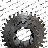 Шестерня вторинного валу КПП Т-150 Z=18/31, 151.37.207-6, ХТЗ, фото 3