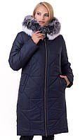 Жіночий зимовий пуховик Жіноча зимова подовжена курточка. Жіноча зимова напівчовна- курточка Р-46-60 синя
