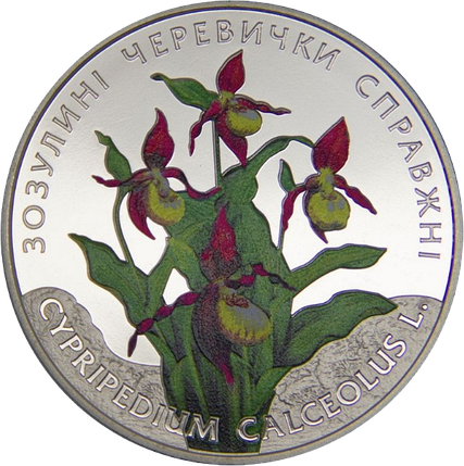 Монета НБУ "Зозулині черевички справжні", фото 3