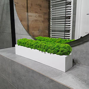 Дерев'яне кашпо зі стабілізованого моху прямокутне біле.Живий мох / Декор з дерева 40 см