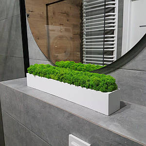 Дерев'яне кашпо зі стабілізованого моху прямокутне біле.Живий мох / Декор з дерева 60 см