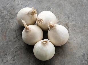 Цибулю севок Сноуболл (Snowball) TOP Onionsets(Голландія) 1 кг, фото 4