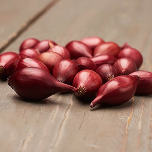 Цибулю севок Ред Барон (Red Baron) TOP Onionsets (Голландія) 1 кг