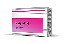 Kelp Maxi (Келп Макси)