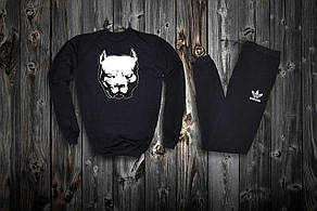 Спортивний стильний костюм adidas pitbull
