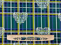 Тканина дайвінг пляшкового кольору "Вишуканість"