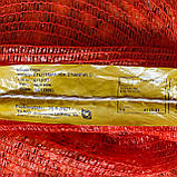 Цибуля сіянка Штутгартен Стенфілд 1 кг Нідерланди, фото 3