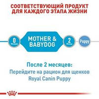 Консерви Royal Canin Starter Mousse для цуценят до 2 міс, 195 г, фото 6