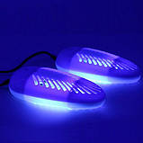 Ультрафіолетова сушарка для взуття АНТИБАКТЕРІАЛЬНА, фото 2