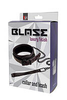 Нашийник з повідцем Collar and Leash Purple Blaze