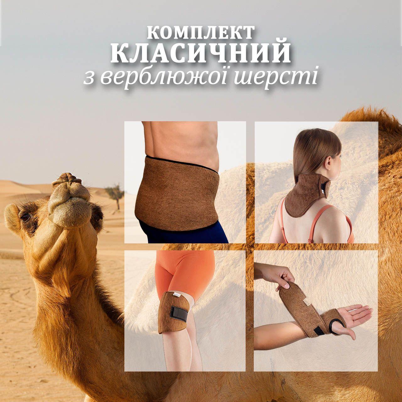 Комплект Класичний з верблюжої шерсті L, фото 1