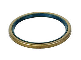 D123655 (N 014367, 6194017M1, CA0120717, 120717,11716620) Сальник CNH