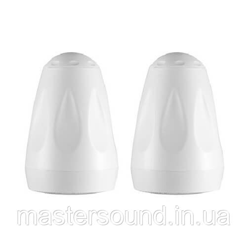 Подвесная всепогодная акустика Sky Sound PS-5TW, фото 1