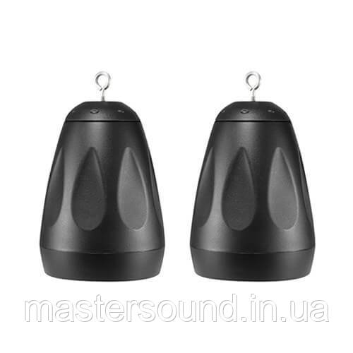 Подвесная всепогодная акустика Sky Sound PS-5TB, фото 1