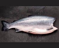 Лосось (сімга) тушка 3-4 кг