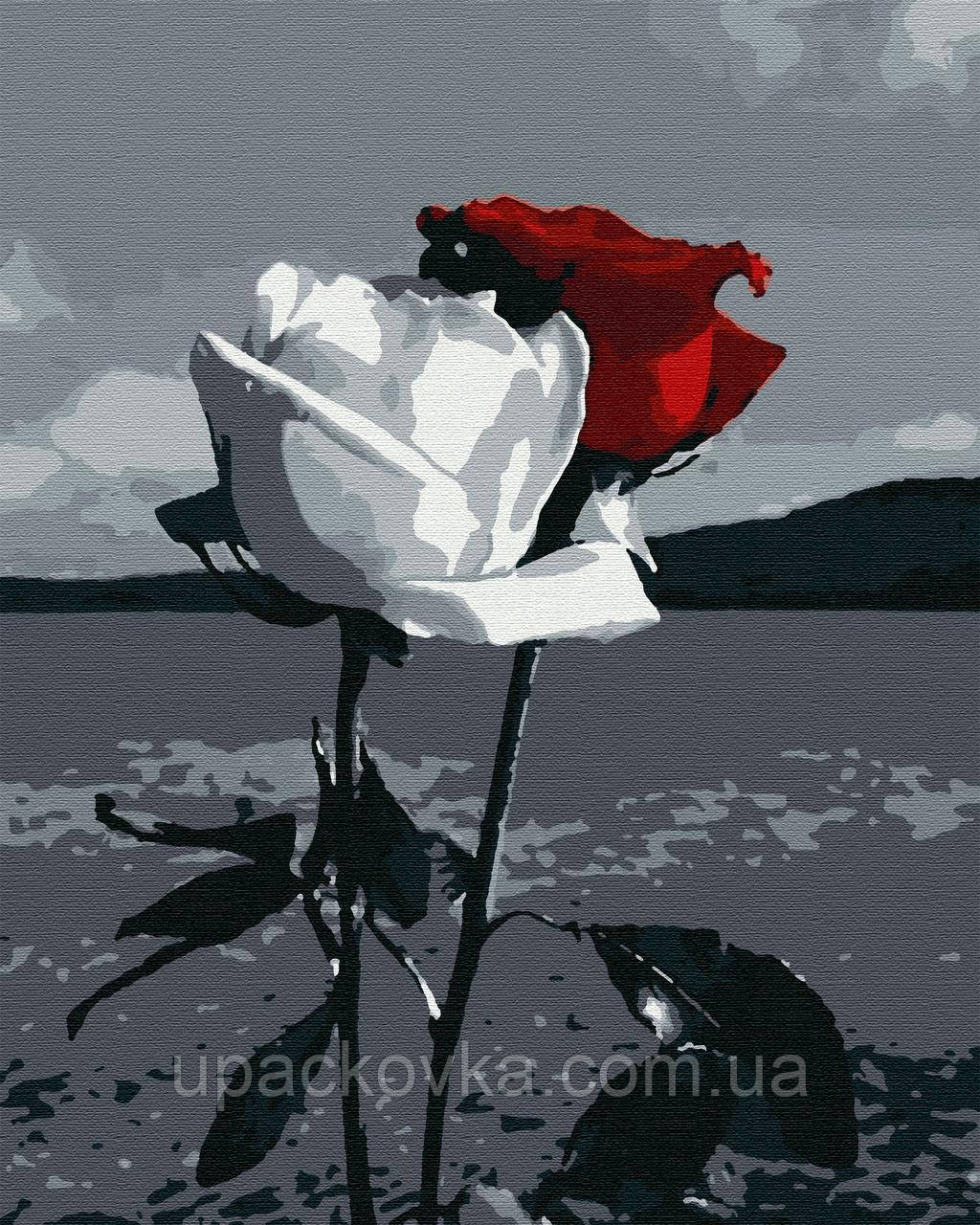 Набір для розпису, картина за номерами, "Червоно-білий", 40х50см, ТМ "RIVIERA BLANCA"