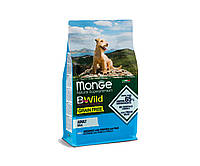 Сухой корм Monge Dog BWILD GR.FREE Mini Adult для взрослых собак мелких пород, анчоус 2.5КГ