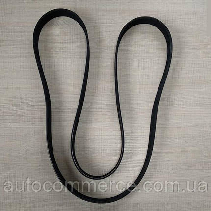 Ремінь генератора (вентилятора) FOTON 1069/1061, ФОТОН 1069/1061 (8PK2124), фото 1