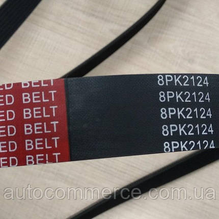 Ремінь генератора (вентилятора) FOTON 1069/1061, ФОТОН 1069/1061 (8PK2124), фото 2