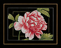 Набір для вишивання Рожева троянда, 33х24, аїда 14, лічильник LanArte