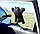 Кіт Саймон  Найкращий водій на присосках чорний -  - Іграшка в авто Кіт Саймон - Подарунок, фото 3