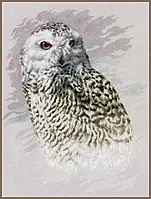 Набір для вишивання хрестиком LanArte Snowy Owl "Полярна сова"