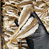 Тригла — риба солено-сушена нотатіння, снек до пива опт, фото 5