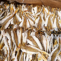 Тригла — риба солено-сушена нотатіння, снек до пива опт, фото 7