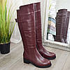 Чоботи жіночі шкіряні на невисокому стійкому каблуці, колір бордо, фото 3