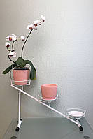 Підставка для квітів BeStand «АРКАДІЯ» на 3 вазона, висота 43 см, колір білий.