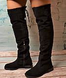 Замшеві ботфорти на низькому ходу, фото 2