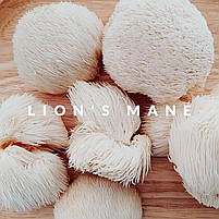 Fungi Perfecti Host Defense Lions Mane Ожина гребінчаста підтримка мозку та нервів 120 капс. США BX667, фото 6