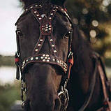 Все для коня, шлея, наритник, вуздечка,шкіра,ручна робота, фото 3