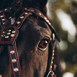 Все для коня, шлея, наритник, вуздечка,шкіра,ручна робота, фото 4