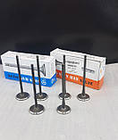 Комплект клапанів (впуск+ випуск) Матіз 0,8 Shinhan Корея, фото 3