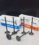 Комплект клапанів (впуск+ випуск) Матіз 0,8 Shinhan Корея, фото 5