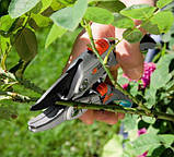 Секатор із храповим механізмом SmartCut Gardena (8798), фото 3