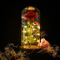 Роза в колбе с LED подсветкой (маленькая)