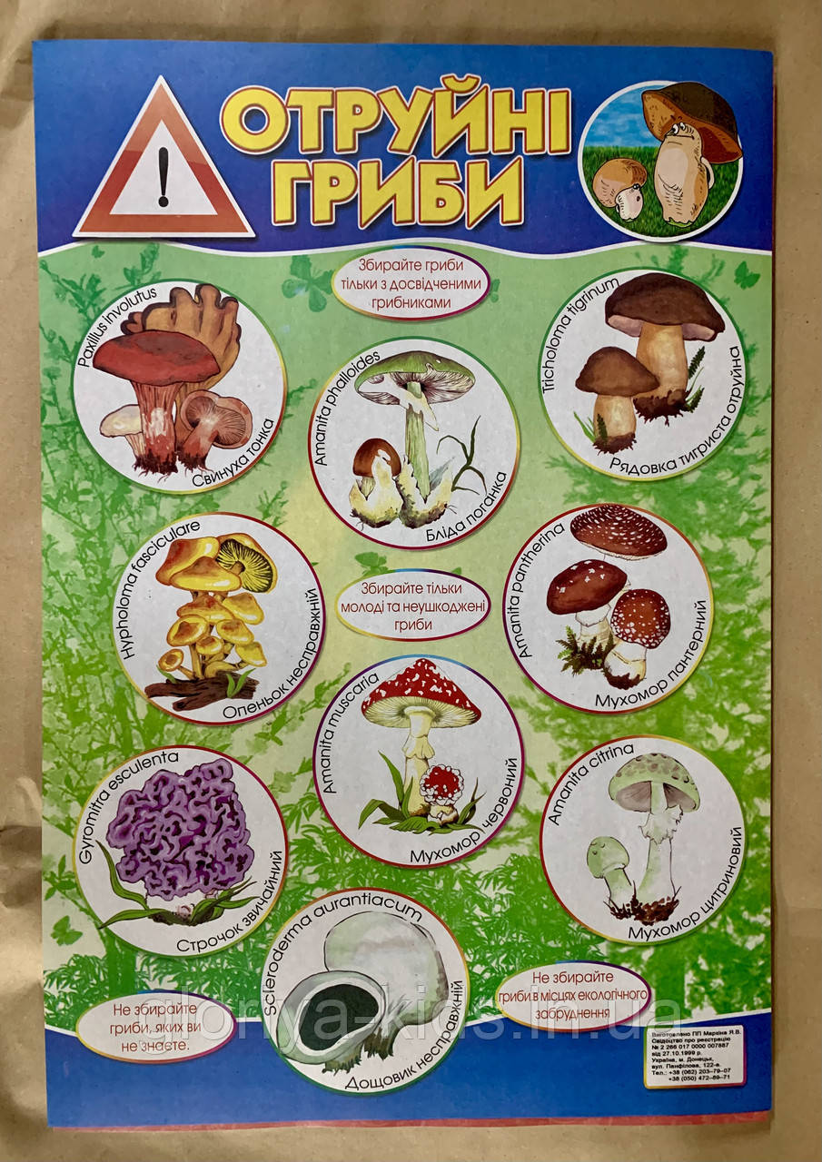 Плакат Абетка
