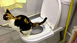 Набір для привчання кішок до унітаза CitiKitty Cat Toilet Training Kit, фото 4