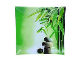 306 Тарілка квадр. 20 см (Зелений бамбук)