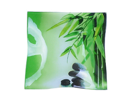 306 Тарілка квадр. 20 см Елегант (Зелений бамбук)