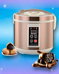 Ферментатор багатофункціональний «An Zhik» (чорний часник + йогурт + вино + квас + нато + тісто та ін.), фото 1