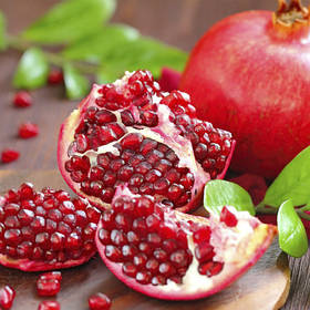 Саджанці граната 1-річка