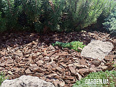 Кора соснова GARDEN, 40л, Фр.2.5 (2-4см), фото 3